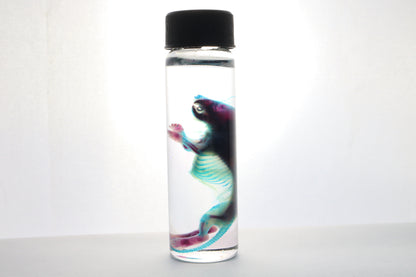 Reserved for Kaitlyn - Diaphonized Baby Mouse