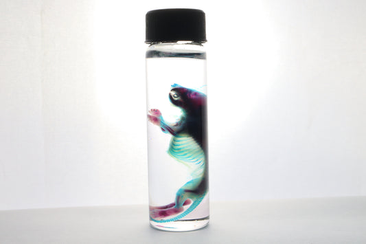 Reserved for Kaitlyn - Diaphonized Baby Mouse