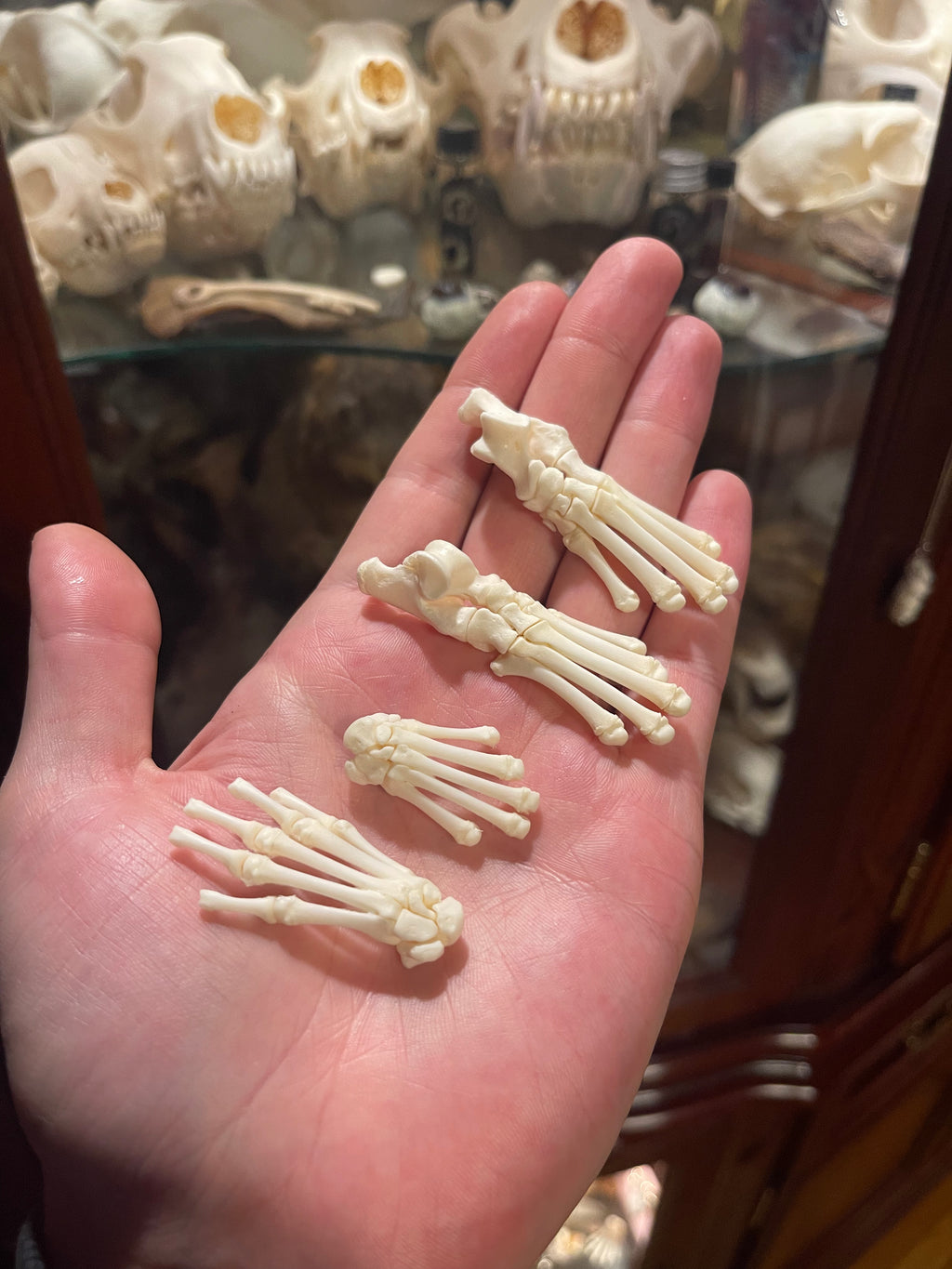 Reserved for Jules - Partial Raccoon Paw Articulation Collection