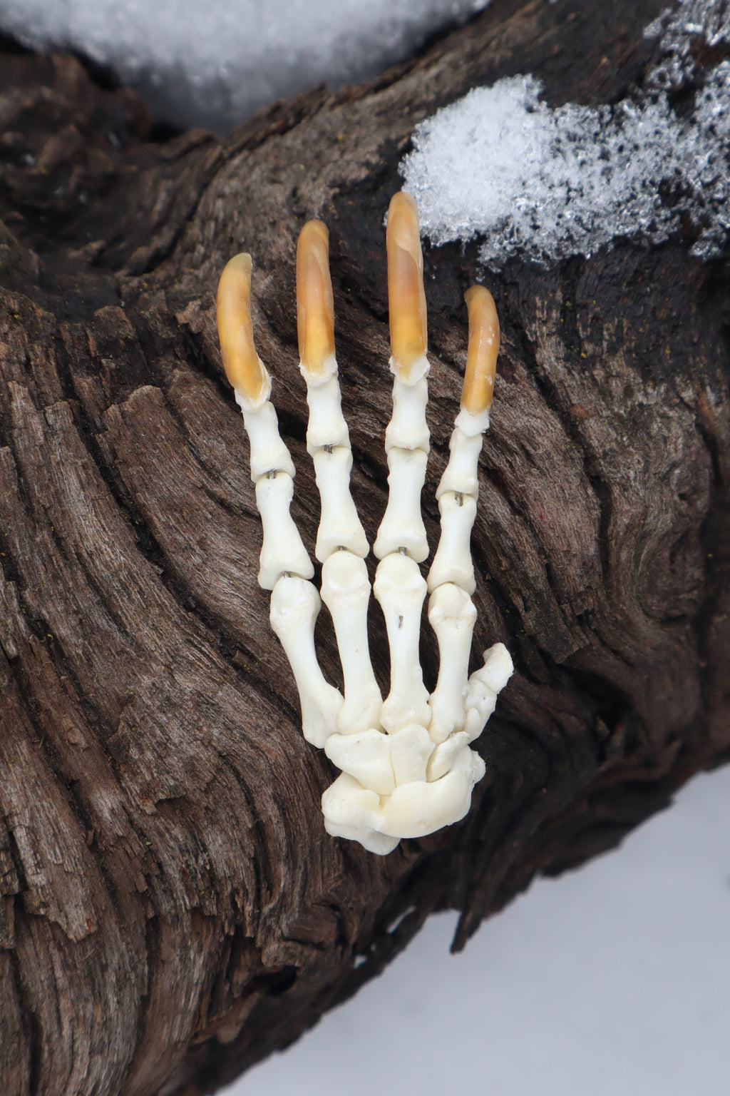 Porcupine Paw Articulation