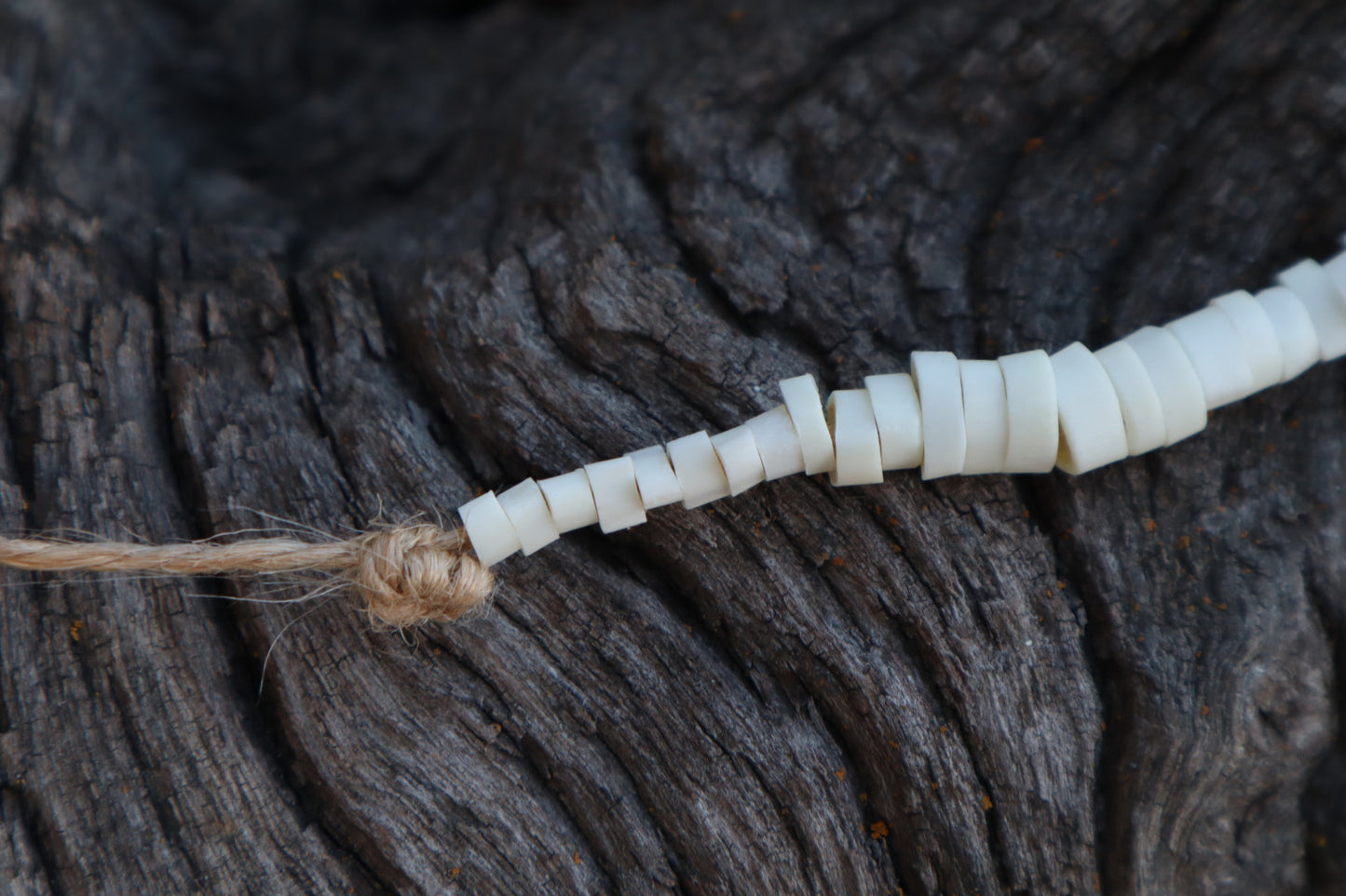 Reserved for Alexandra - Domestic Kitten Bone Beads