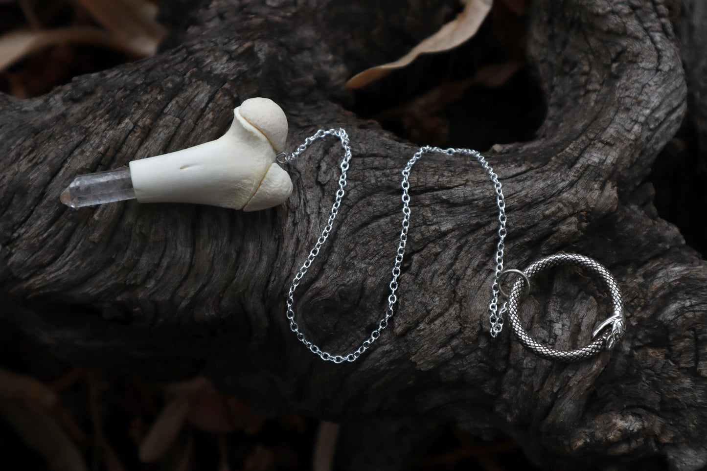Whitetail Fawn Femur Pendulum with Ouroboros Ring