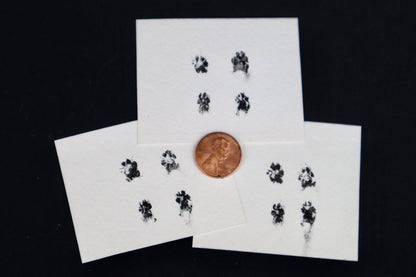 Stillborn Chihuahua Paw Print