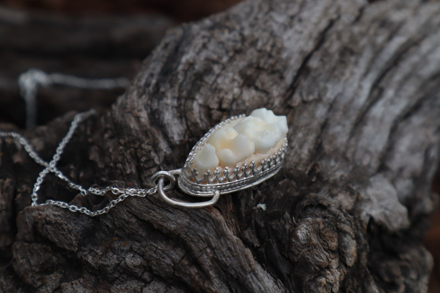 Reserved for Cora - Raccoon Skull Fragment Necklace - .925 Sterling Silver