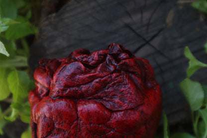 Reserved for Vinette - Dry Preserved Whitetail Deer Heart