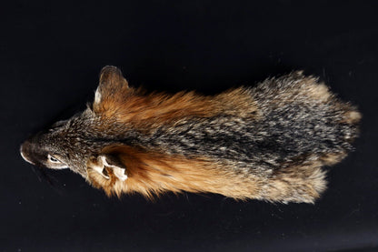 Gray Fox Face/Cape