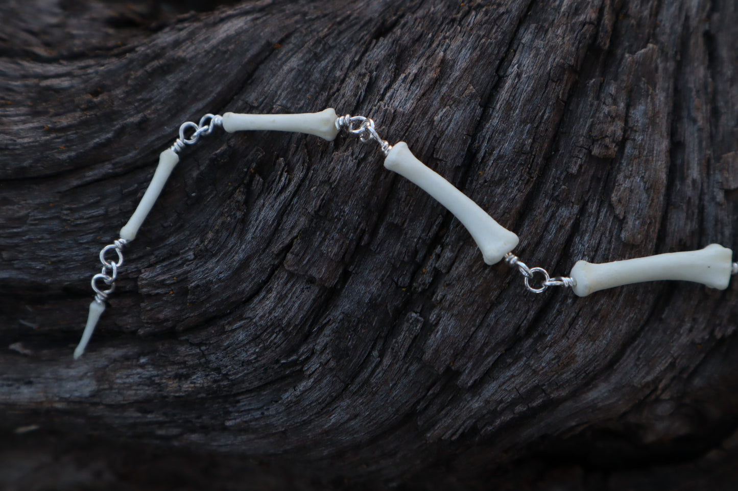 Fluid Coyote Tail Articulation with Ouroboros Ring
