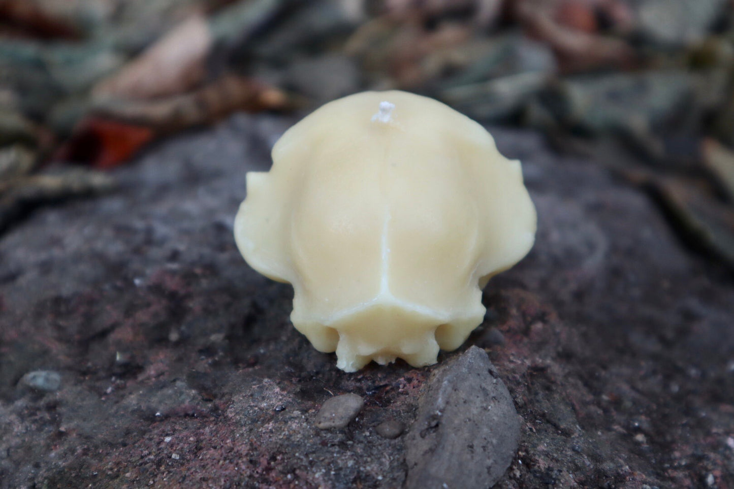 Cat Skull Candle - Natural Beeswax