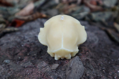 Cat Skull Candle - Natural Beeswax