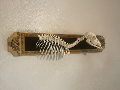 Reserved for Erin - Articulated Whitetail Fawn Skeleton