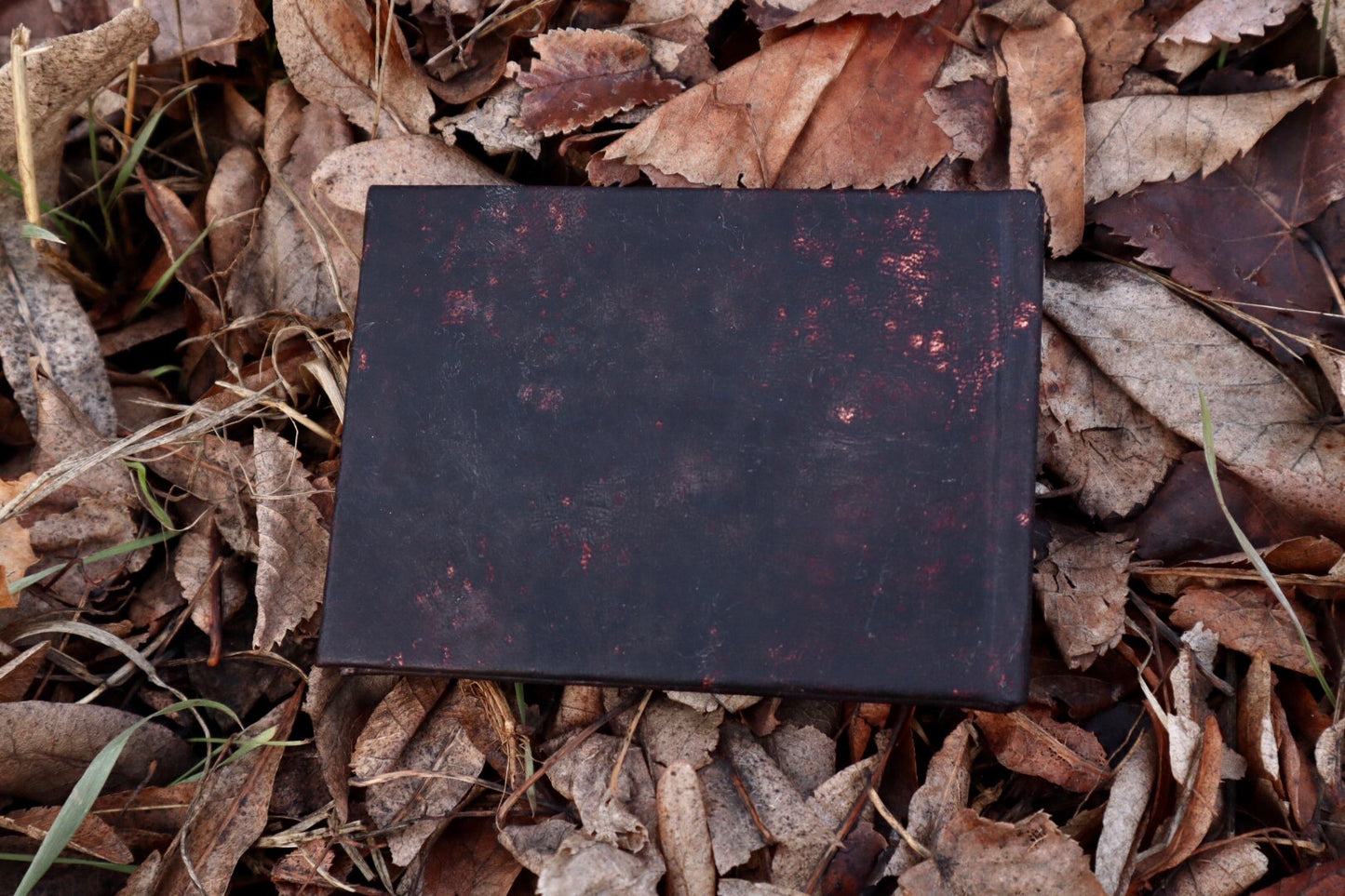 Gray Fox Leather Bound Journal