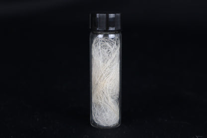 Gray Wolf Hair