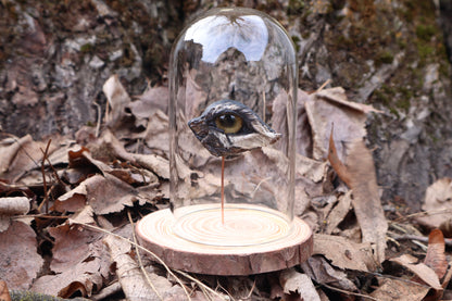 Reserved for Remi - Dry Preserved Gray Wolf Eye