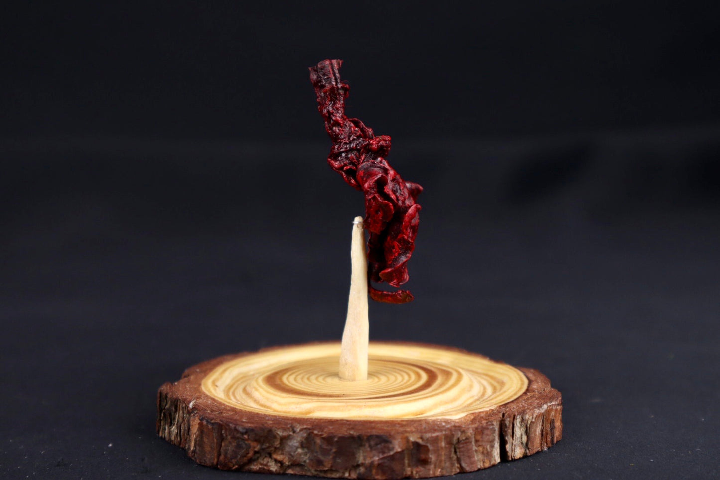 Dry Preserved Kitten Lungs in Glass Dome