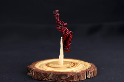 Dry Preserved Kitten Lungs in Glass Dome