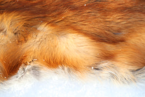 Red Fox Pelt - Altar Cut