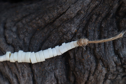 Reserved for Alexandra - Domestic Kitten Bone Beads