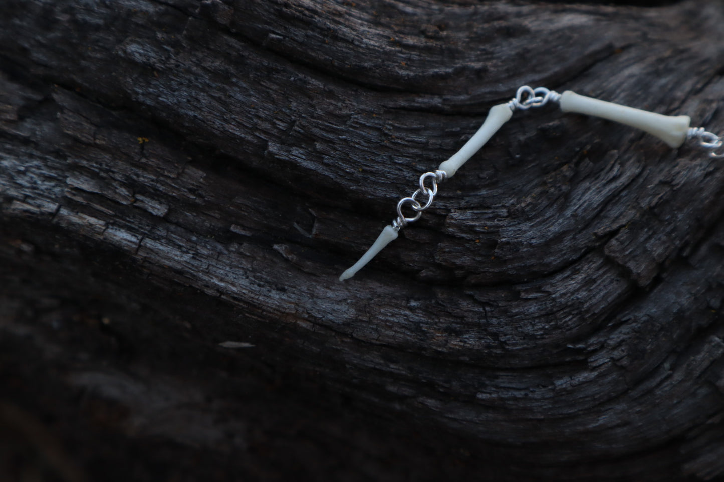 Fluid Coyote Tail Articulation with Ouroboros Ring