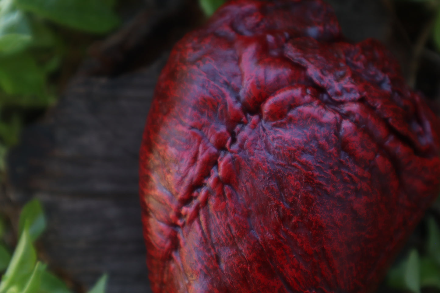 Reserved for Vinette - Dry Preserved Whitetail Deer Heart