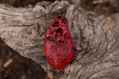 Reserved for Taryn - Dry Preserved Bobcat Heart