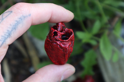 Reserved for Brandon - Dry Preserved Juvenile Bobcat Heart and Lungs