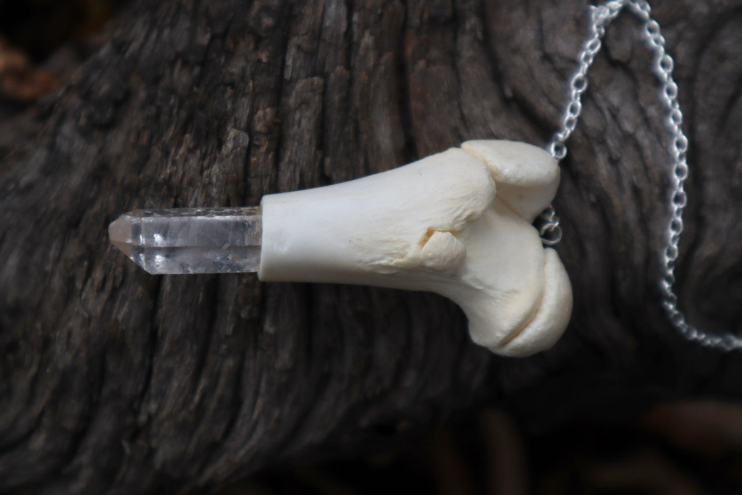 Whitetail Fawn Femur Pendulum with Ouroboros Ring