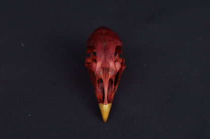 Craft Naturally Stained Chicken Skull
