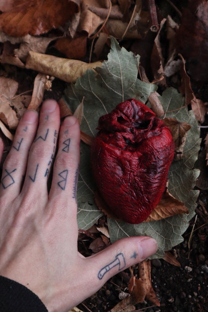 Dry Preserved Mountain Lion Heart