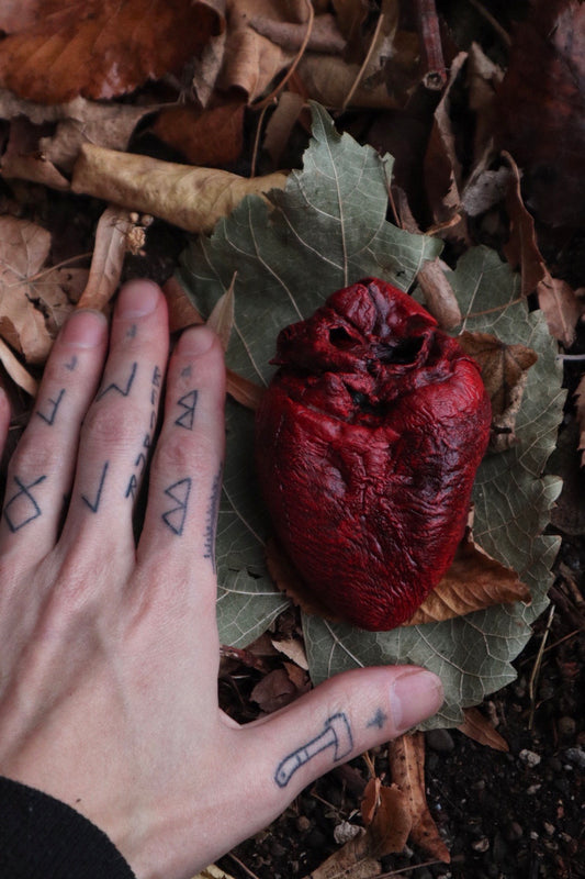 Dry Preserved Mountain Lion Heart