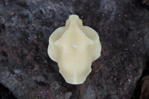 Cat Skull Candle - Natural Beeswax
