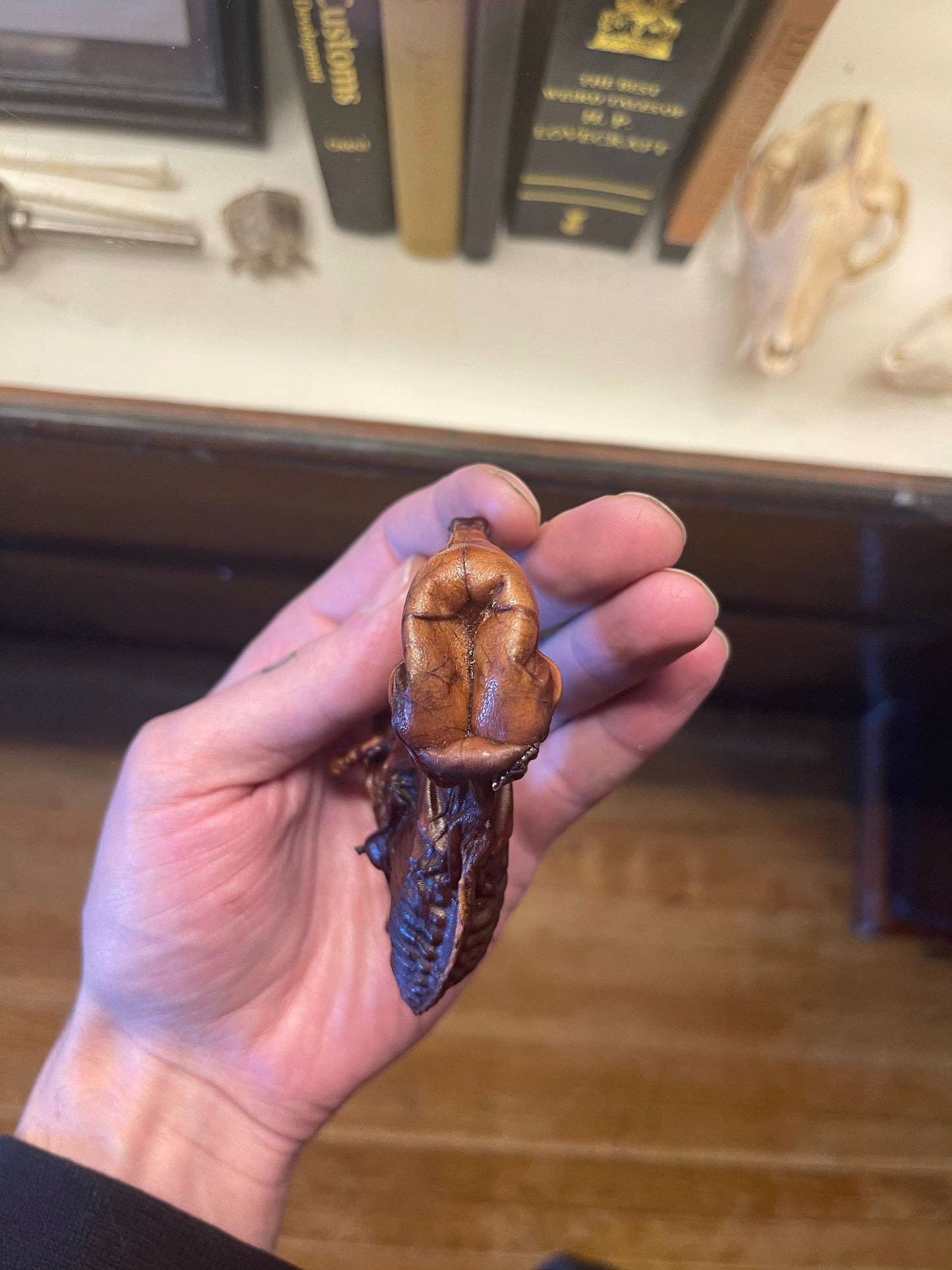 Reserved for Andrew - Dry Preserved Fetal Piglet