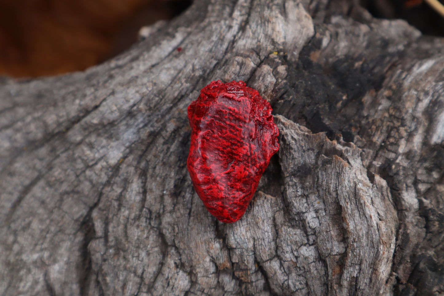 Dry Preserved Chicken Heart