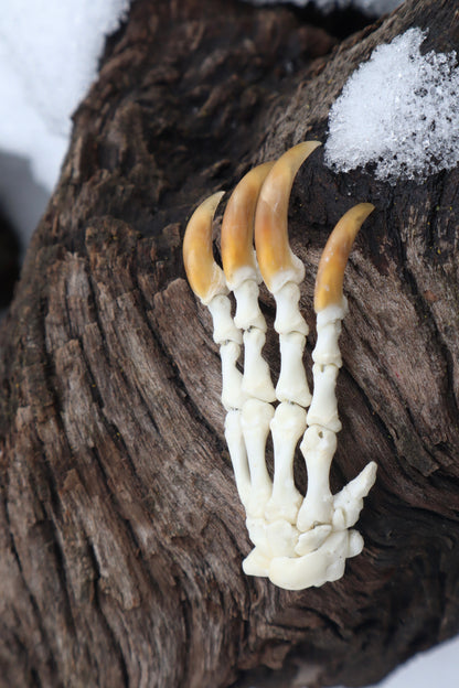 Porcupine Paw Articulation