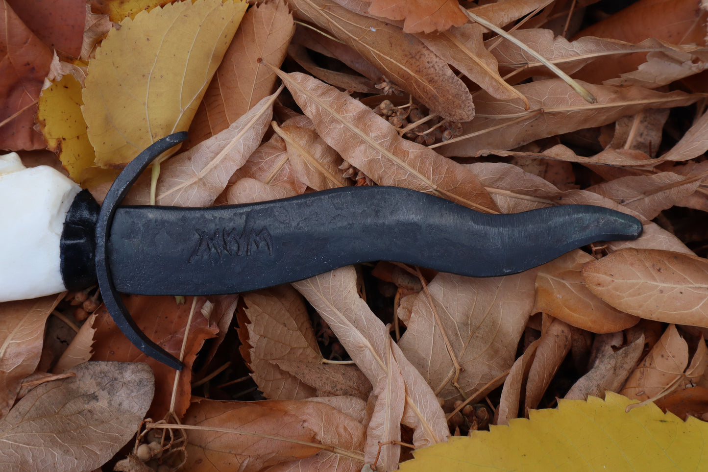 Black Iron Gray Wolf Mandible Knife with Celtic Gray Wolf Mandible Sheath
