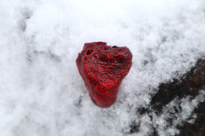 Dry Preserved Chicken Heart