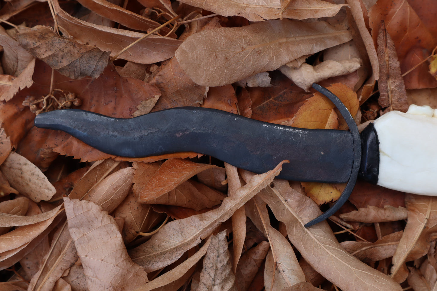 Black Iron Gray Wolf Mandible Knife with Celtic Gray Wolf Mandible Sheath