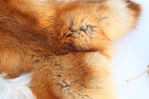 Red Fox Pelt - Altar Cut