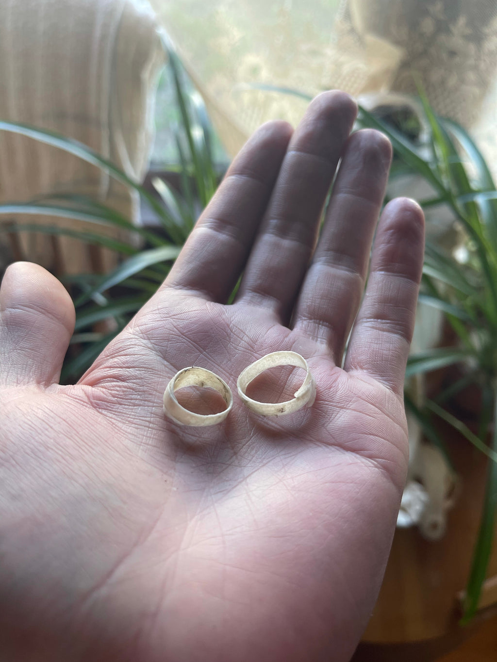 Reserved for Sophie Lenox - Gray Wolf Trachea Rings