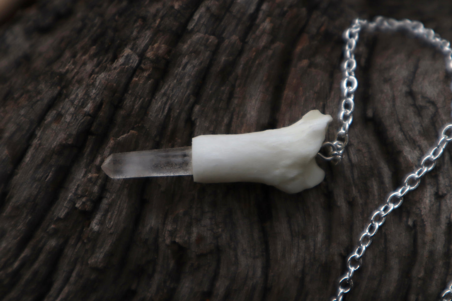Reserved for Ashley - Two Domestic Cat Tibia Pendulum with Ouroboros Ring