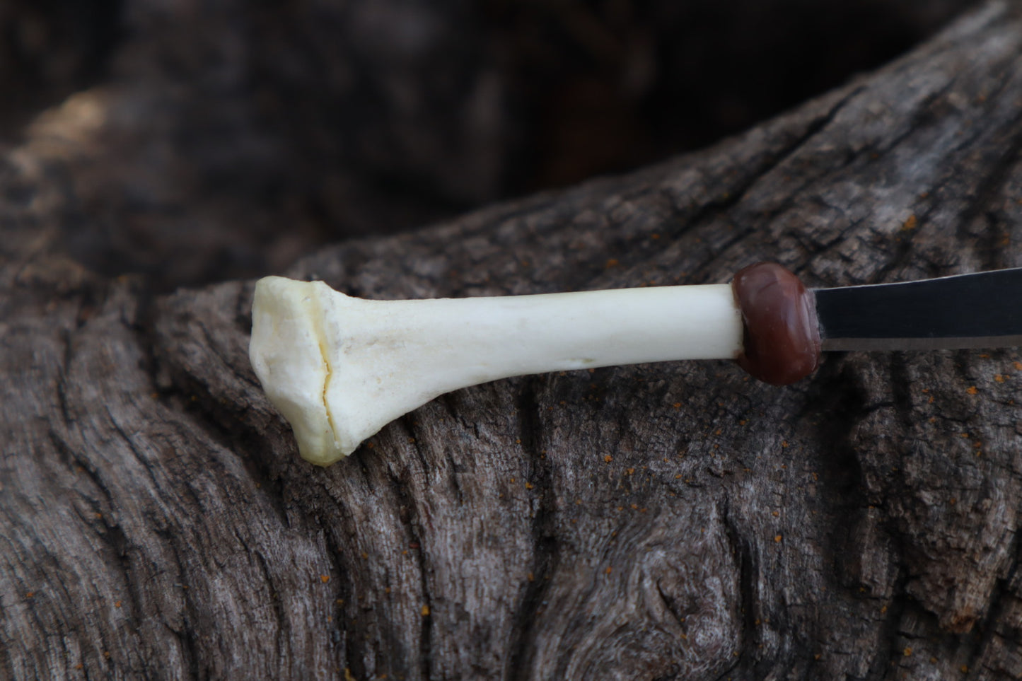 Kitten Tibia Knife
