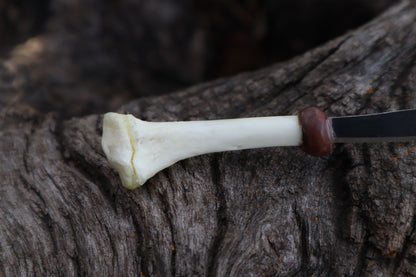 Kitten Tibia Knife