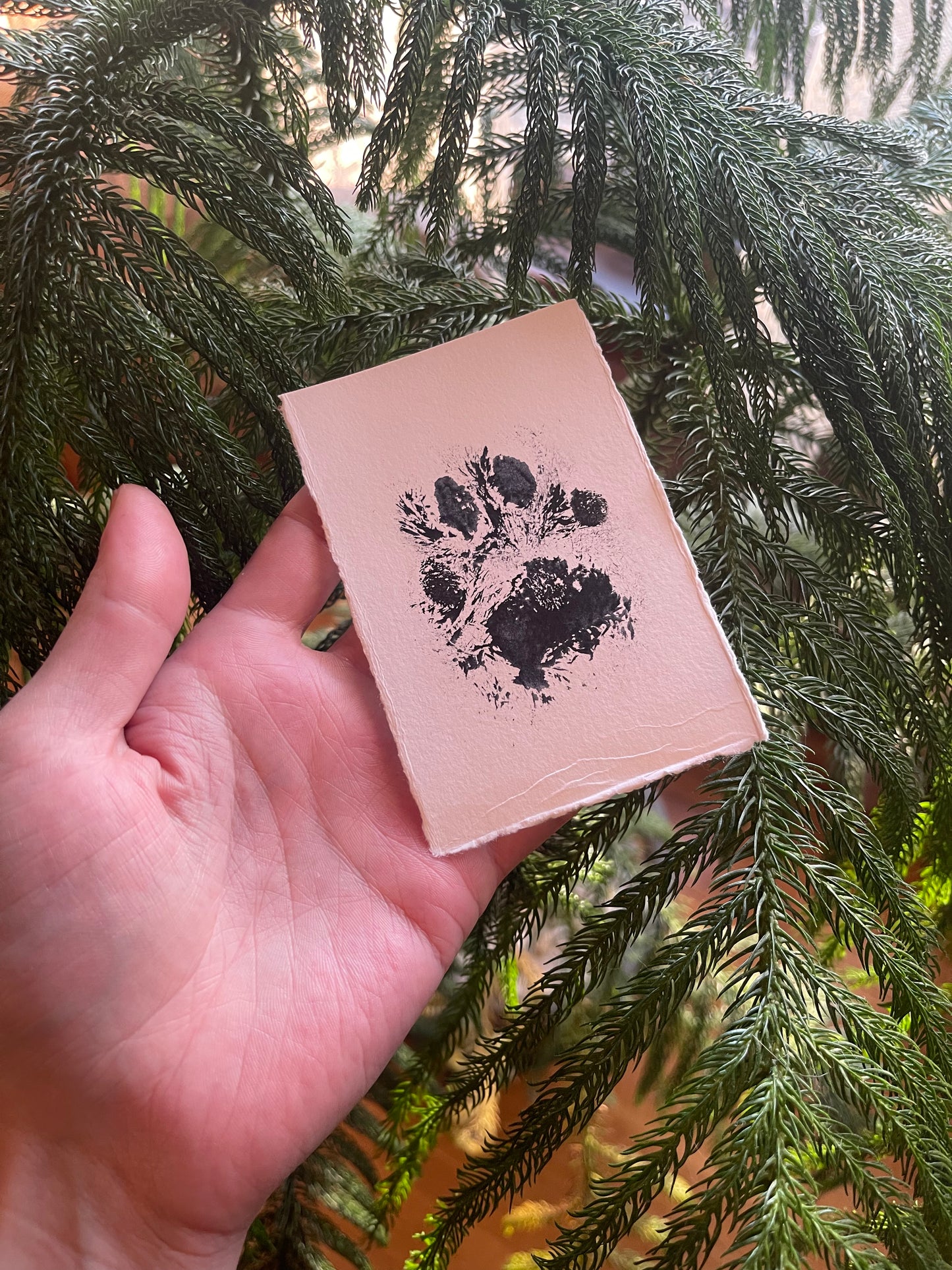 Bobcat Paw Print