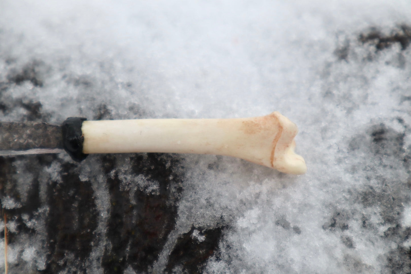 Kitten Tibia Knife
