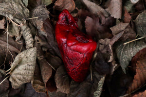 Dry Preserved Lamb Heart