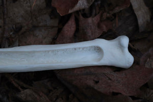 Reserved for Autumn - Wolf Bone Forest Spirit Incense Burner