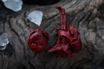 Dry Preserved Cottontail Rabbit Heart and Lungs