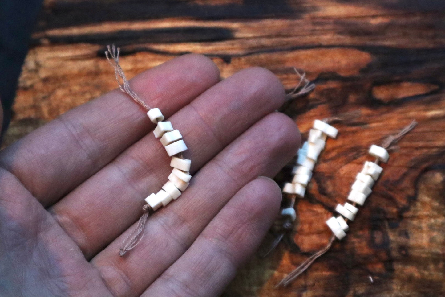 Polydactyl Cat Bone Beads