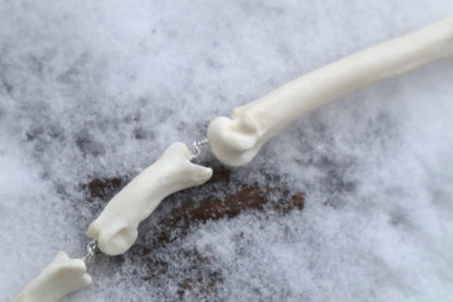 Mountain Lion Toe Pendulum with a Lepidocrocite Quartz Point