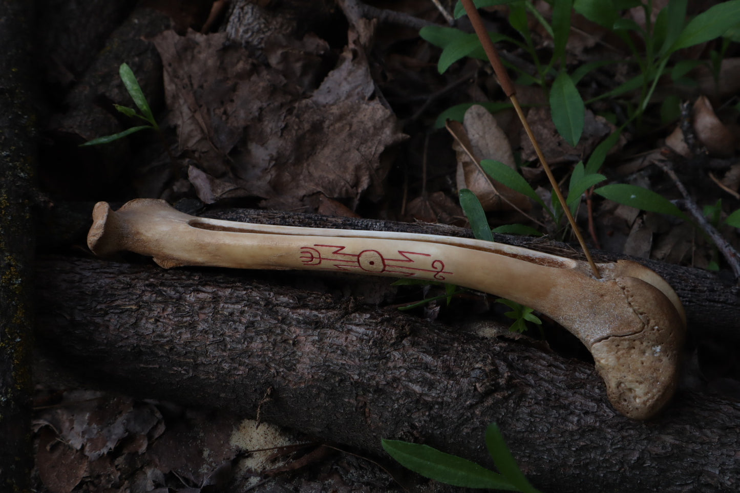 Reserved for Ganjre - Múspellzheimr German Shepherd Dog Femur Incense Holder