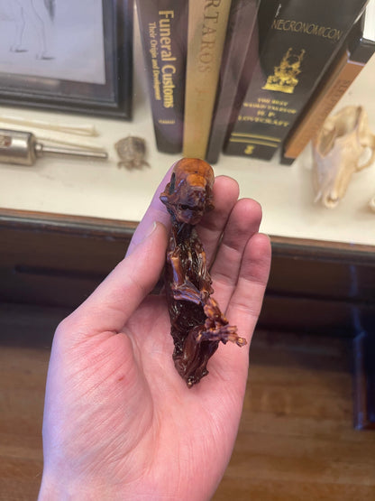 Reserved for Andrew - Dry Preserved Fetal Piglet